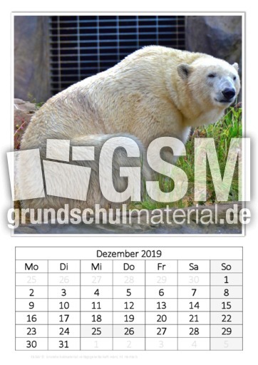 Dezember_Eisbär_2.pdf